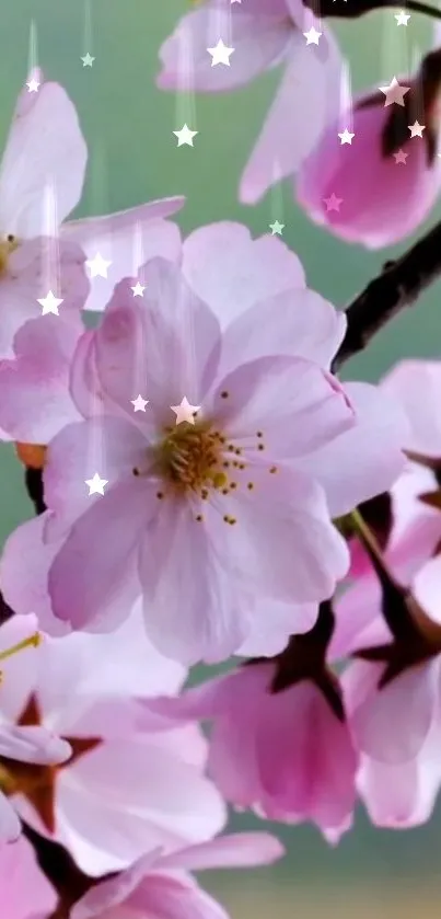 Pink cherry blossoms on a green backdrop, adding elegance and serenity to your screen.