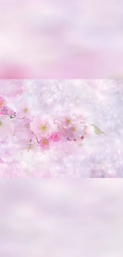 Mobile wallpaper with pink cherry blossoms on a soft pastel background.