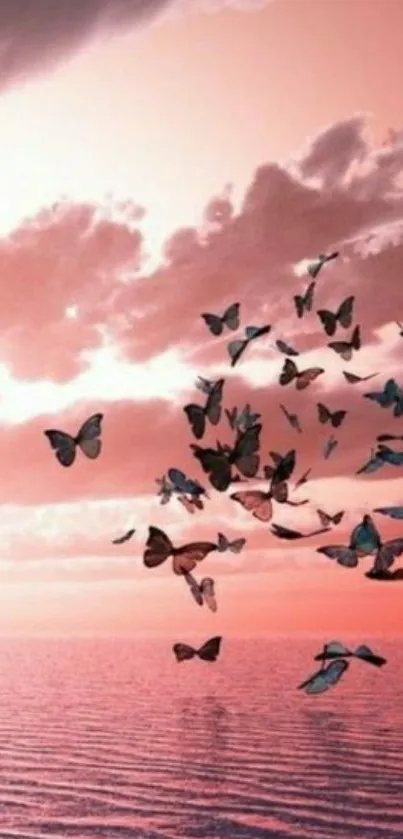 Butterflies in a pink sky over the ocean.