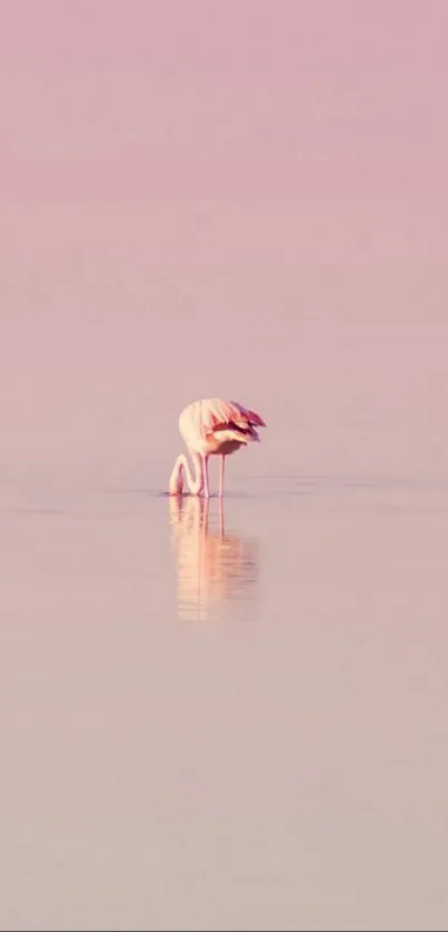 Minimalist pink flamingo on a serene lake background.