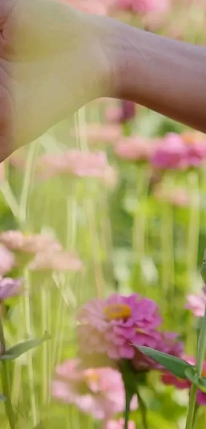 Hand among pink flowers in a serene garden setting.