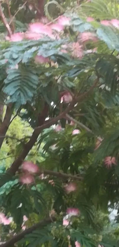 Serene pink flowers on a lush green tree in nature.