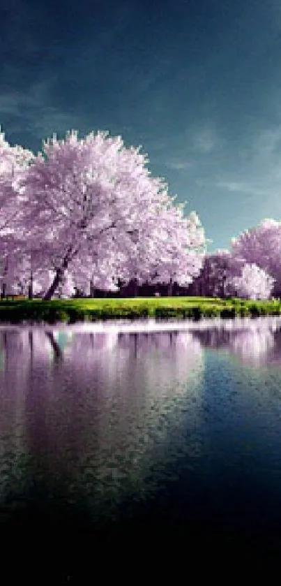 Serene wallpaper of a pink tree-lined lake landscape with reflections.