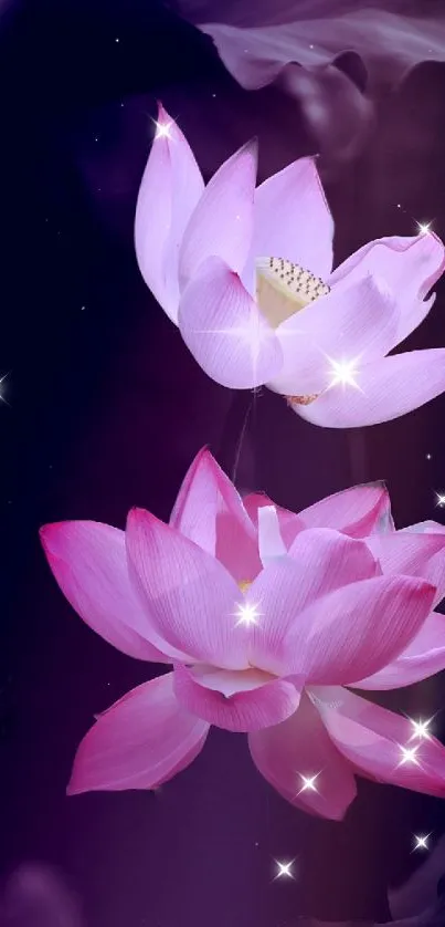 Mobile wallpaper with glowing pink lotus flowers against a dark purple night sky.