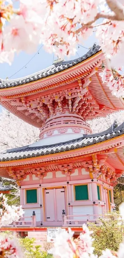 Pink Japanese temple with cherry blossoms, serene scenery.