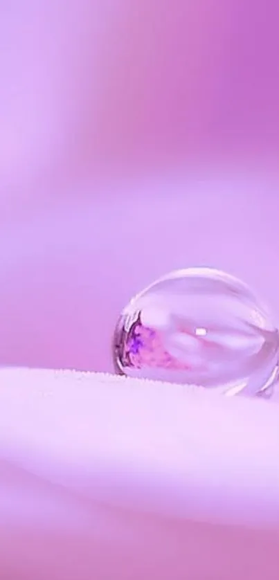 Close-up of water droplet on a pink surface, creating a serene mobile wallpaper.