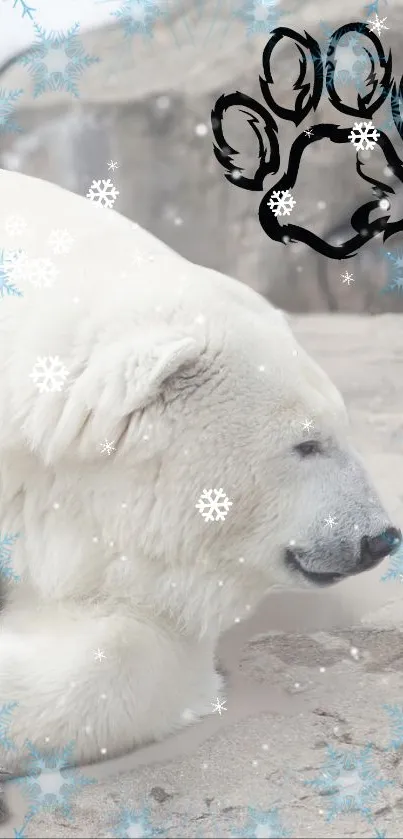 Peaceful polar bear resting on rocks with a snowy background.