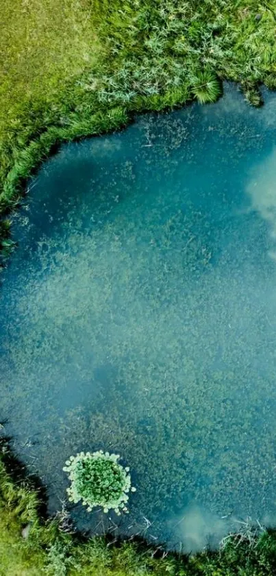 Aerial view of a tranquil pond surrounded by greenery.