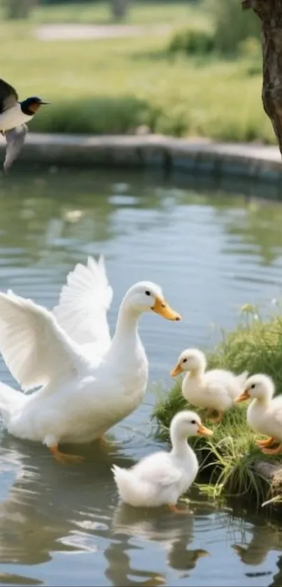 Serene pond with a duck family and bird in flight.