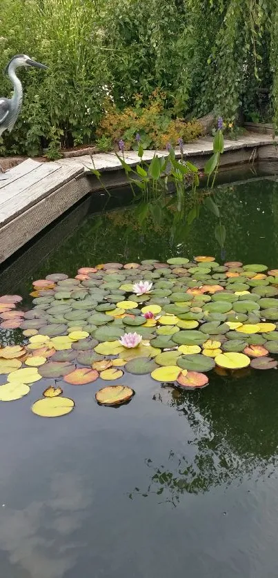 Serene pond with lily pads and greenery in a tranquil setting.