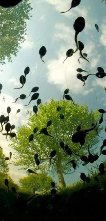 Tadpoles swim in a sunlit pond with lush greenery and a clear blue sky.