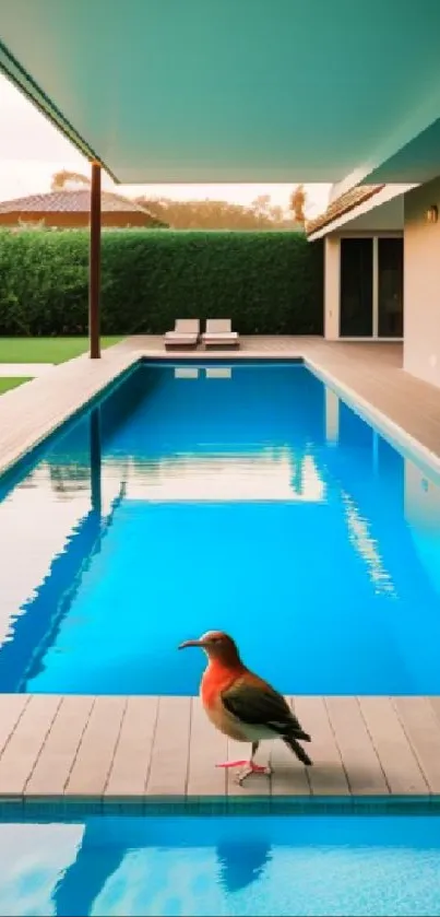 Colorful bird sits by a serene poolside.