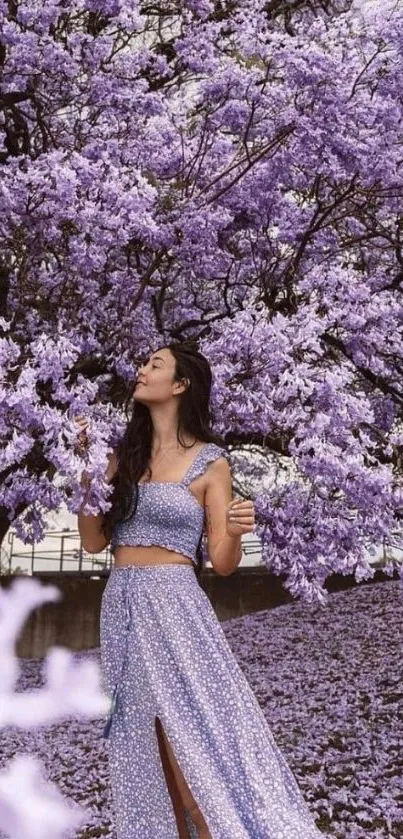 Woman in a lavender dress under a jacaranda tree in full bloom.