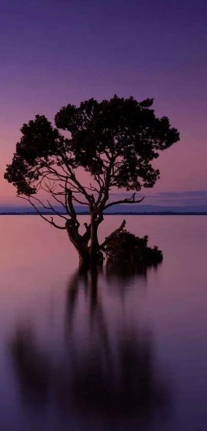 Lone tree reflecting in purple evening waters.