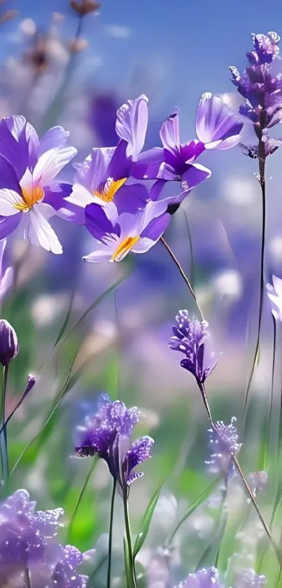 Purple flowers in a serene nature scene on mobile wallpaper.