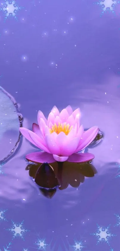 Purple lotus flower floating on calm water with a serene backdrop.