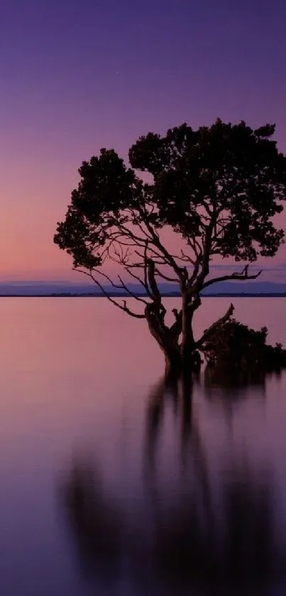 Lone tree against purple sunset sky over water, capturing serene nature.