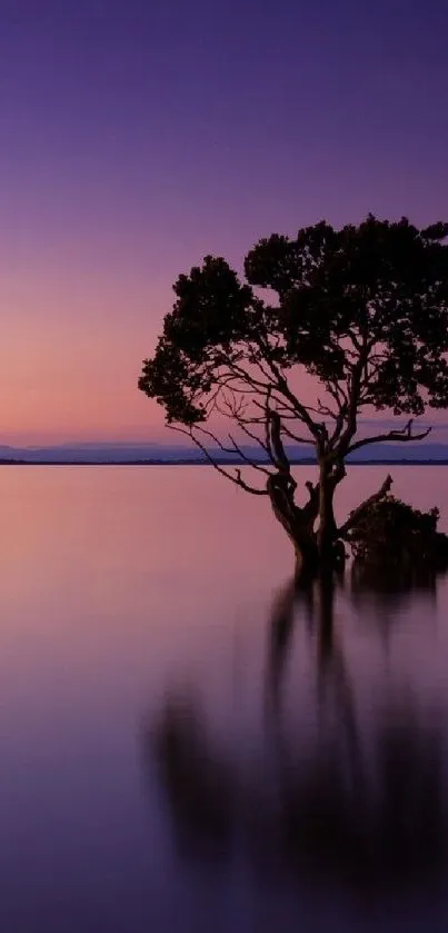 Solitary tree silhouetted against a purple sunset sky, reflected in still waters.