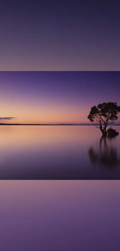 Purple sunset with lone tree over calm water.