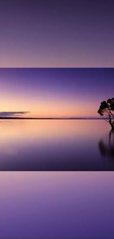 Serene purple sunset with a lone tree reflecting on water.