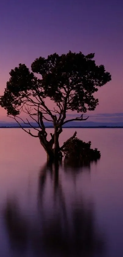 Single tree reflecting in calm water under a purple dusk sky.