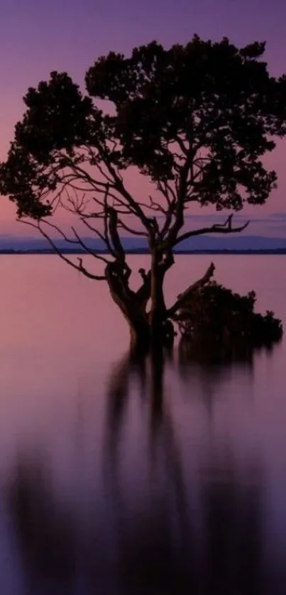 Silhouette of a tree reflecting in purple water at twilight.