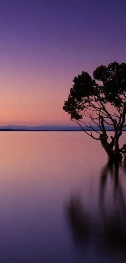 Lone tree against purple sunset with water reflection.