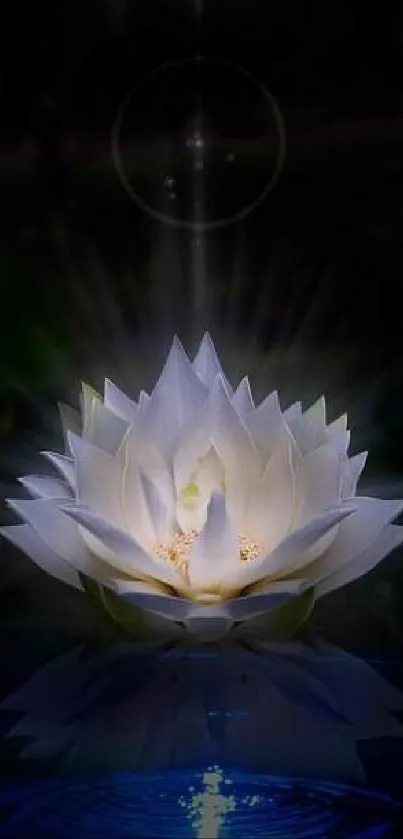 Radiant white lotus glowing on dark water background.