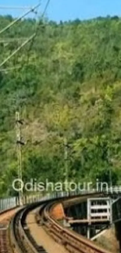 Railway bridge cutting through lush greenery against a clear blue sky.