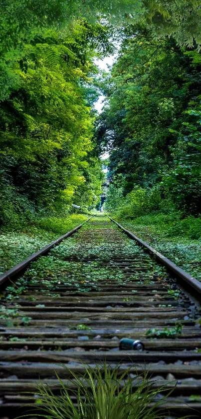 Lush green railway path surrounded by dense forest foliage.