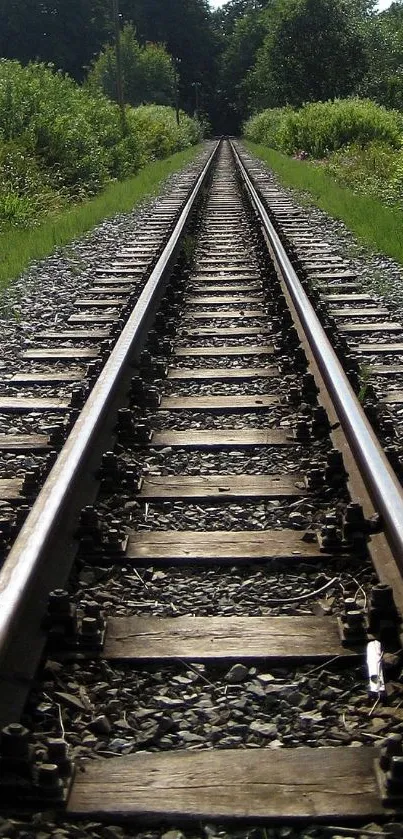 Serene railway track surrounded by greenery wallpaper.