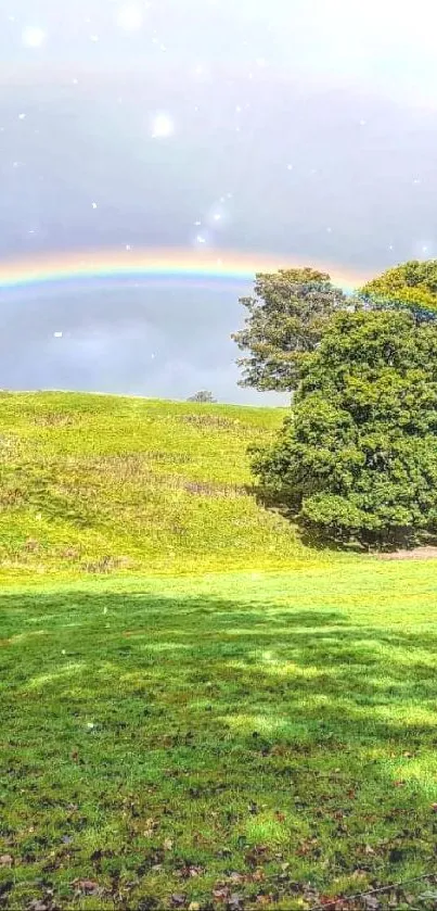 Vibrant rainbow spanning across a lush, green landscape with trees under a cloudy sky.