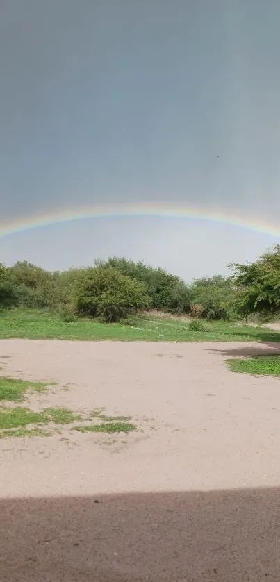 Beautiful landscape with rainbow and lush greenery beneath a clear sky.