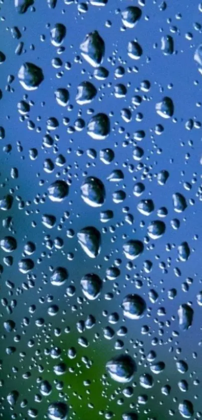 Close-up of raindrops on a blue background wallpaper.