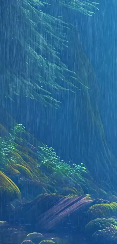 Rainy forest with lush greenery and calming ambiance.
