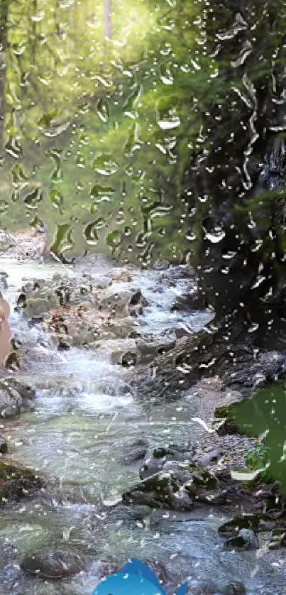 Serene forest stream with rain droplets reflecting nature's tranquility.