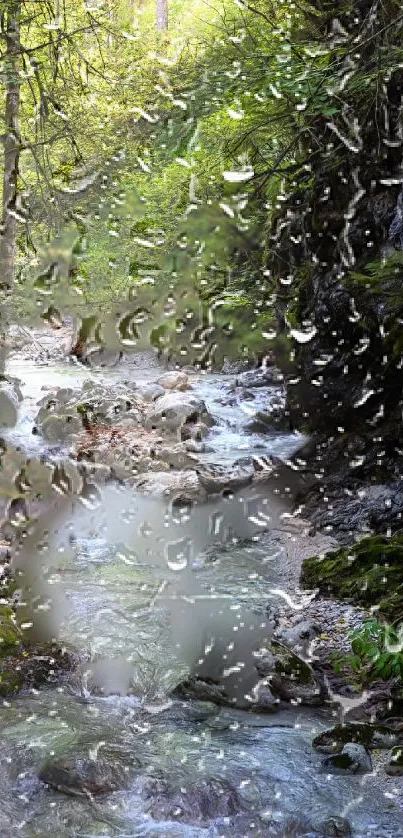 A serene green forest stream with raindrops on a window.