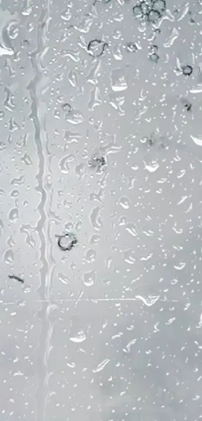 A serene wallpaper with raindrops on a transparent glass surface.