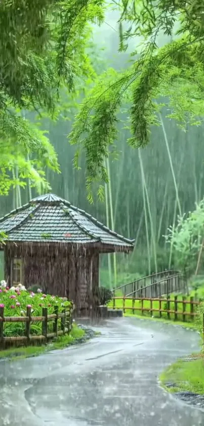 Serene path amidst rain in lush green nature.