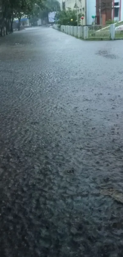 Street covered in rainwater with trees and buildings.