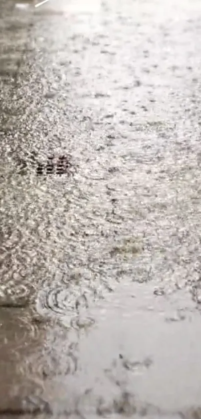 A serene rainy street with rippling water reflections on pavement.