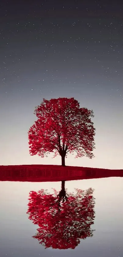 Red tree reflected in calm water under a starry night sky.