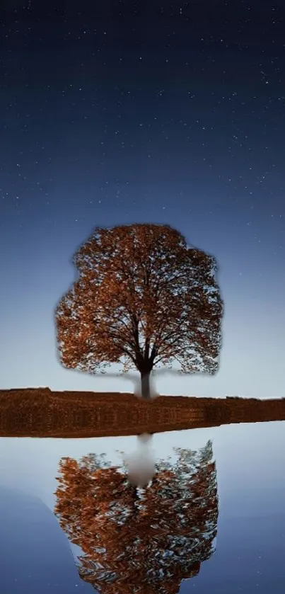 Solitary tree reflection under a starry night sky, creating a calm atmosphere.