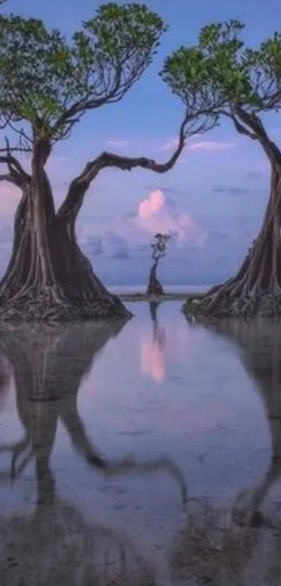 Serene trees reflecting in calm water under a pastel sky.