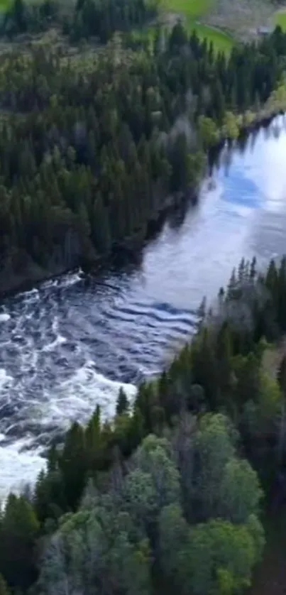 Serene river flowing through lush forest.