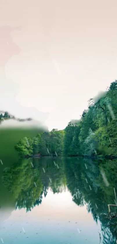 Serene river reflecting lush green forest under a pastel sky.