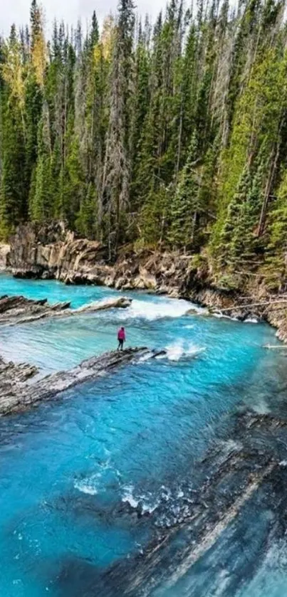 Turquoise river flowing through lush forest.