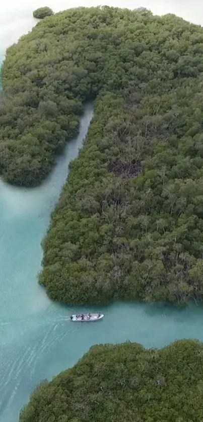 Aerial view of a river winding through a dense green forest with a small boat.