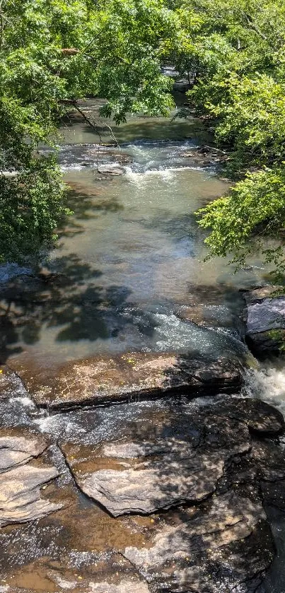 Serene river flowing through a lush green forest.