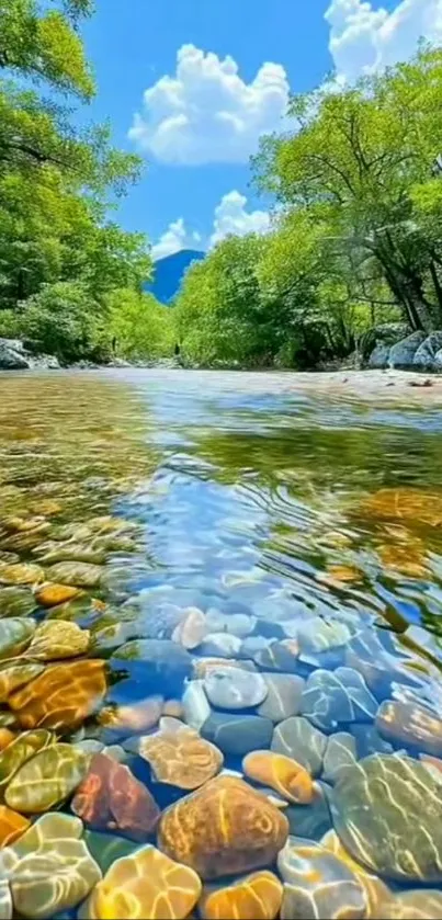 Serene river with stones and greenery in nature.